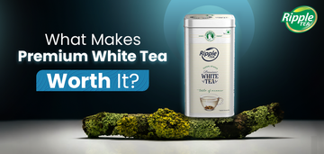 What Makes Premium White Tea Worth It?