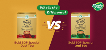 Gold BOP Special Dust vs Leaf Tea: What’s the Difference?
