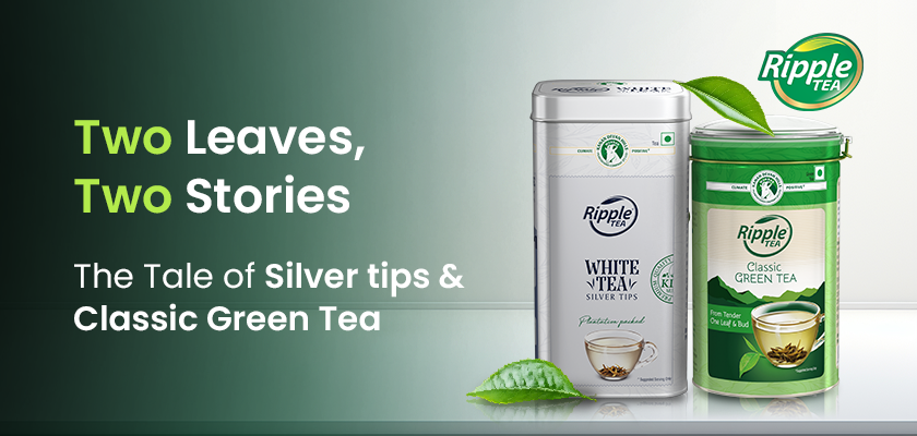Two Leaves, Two Stories: The Tale of Silver tips & Classic Green Tea