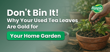 Don't Bin It! Why Your Used Tea Leaves Are Gold for Your Home Garden