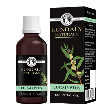 Kundaly Naturals Eucalyptus Oil - 100 ml